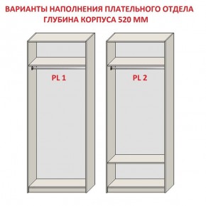 Шкаф распашной серия «ЗЕВС» (PL3/С1/PL2) Серый камень/Небраска натуральный в Кургане - kurgan.ok-mebel.com | фото 9