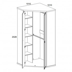 Шкаф угловой 2D, MAGELLAN, цвет Сосна винтаж в Кургане - kurgan.ok-mebel.com | фото 2