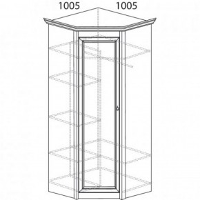 Шкаф угловой №662 "Флоренция" Фасад глухой (угол 1005*1005) Дуб оксфорд в Кургане - kurgan.ok-mebel.com | фото 3