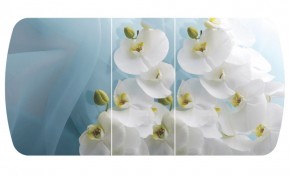 Стол Бостон-3 (Белая Орхидея) 1100/1420*700, опора Брифинг в Кургане - kurgan.ok-mebel.com | фото 2