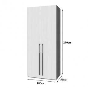 СТОУН С22 Шкаф 2-х створчатый (серый дуб/белый) в Кургане - kurgan.ok-mebel.com | фото 2