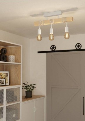 Светильник на штанге Eglo TOWNSHEND 44082 в Кургане - kurgan.ok-mebel.com | фото 2