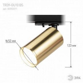 Светильник на штанге Эра  TR39-GU10 BS в Кургане - kurgan.ok-mebel.com | фото 6