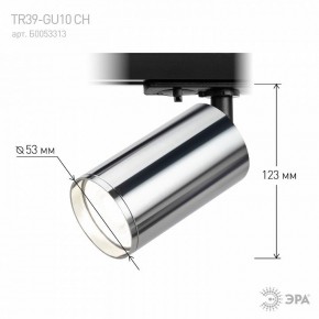 Светильник на штанге Эра  TR39-GU10 СН в Кургане - kurgan.ok-mebel.com | фото 7