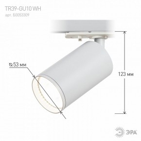 Светильник на штанге Эра  TR39-GU10 WH в Кургане - kurgan.ok-mebel.com | фото 7