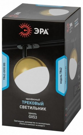 Светильник на штанге Эра  TR42-GX53 BS в Кургане - kurgan.ok-mebel.com | фото 6