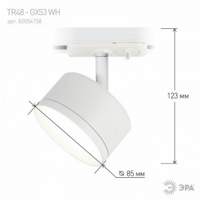 Светильник на штанге Эра  TR48 - GX53 WH в Кургане - kurgan.ok-mebel.com | фото 4