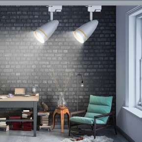 Светильник на штанге Эра  TR49 - GU10 WH в Кургане - kurgan.ok-mebel.com | фото 2