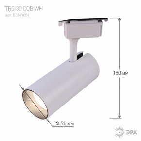 Светильник на штанге Эра  TR5-30 COB WH в Кургане - kurgan.ok-mebel.com | фото 6