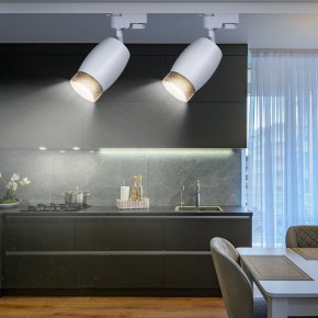 Светильник на штанге Эра  TR51 - GU10 WH в Кургане - kurgan.ok-mebel.com | фото 3