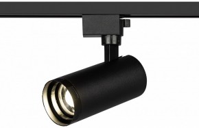 Светильник на штанге Эра  TR59 - 2040 BK в Кургане - kurgan.ok-mebel.com | фото 5