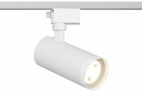 Светильник на штанге Эра  TR59 - 2040 WH в Кургане - kurgan.ok-mebel.com | фото