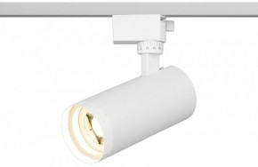 Светильник на штанге Эра  TR59 - 2040 WH в Кургане - kurgan.ok-mebel.com | фото 5
