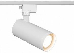 Светильник на штанге Эра  TR59 - 3030 WH в Кургане - kurgan.ok-mebel.com | фото