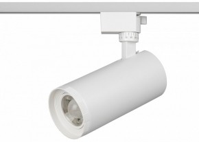 Светильник на штанге Эра  TR59 - 3030 WH в Кургане - kurgan.ok-mebel.com | фото 2