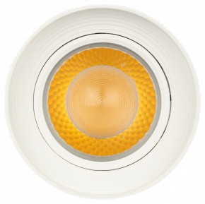Светильник на штанге Эра  TR59 - 3030 WH в Кургане - kurgan.ok-mebel.com | фото 3