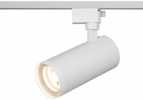 Светильник на штанге Эра  TR59 - 3030 WH в Кургане - kurgan.ok-mebel.com | фото 5
