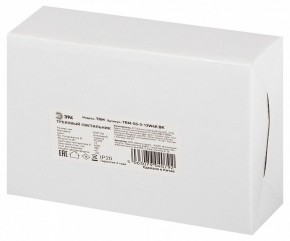 Светильник на штанге Эра  TRM-S5-3-12W4K-BK в Кургане - kurgan.ok-mebel.com | фото 8