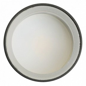 Светильник на штанге Feron ML1001 51371 в Кургане - kurgan.ok-mebel.com | фото 4