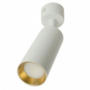 Светильник на штанге Feron ML1011 51380 в Кургане - kurgan.ok-mebel.com | фото 9