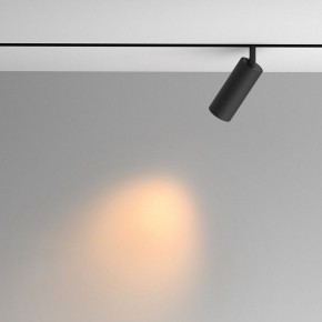 Светильник на штанге Maytoni Artisan TR097-2-12W2.7K-M-BB в Кургане - kurgan.ok-mebel.com | фото 4