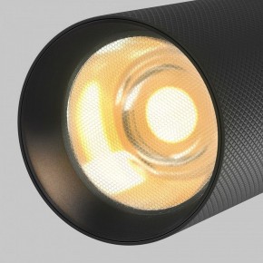 Светильник на штанге Maytoni Artisan TR097-2-12W2.7K-M-BB в Кургане - kurgan.ok-mebel.com | фото 9