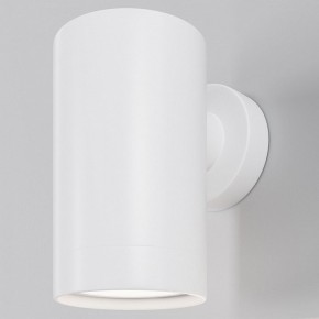 Светильник на штанге Maytoni Clyde O493WL-01W в Кургане - kurgan.ok-mebel.com | фото