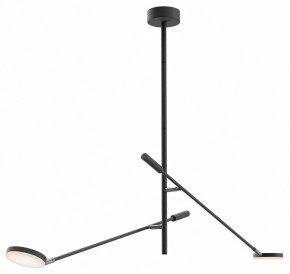 Светильник на штанге Maytoni Fad MOD070CL-L15B3K1 в Кургане - kurgan.ok-mebel.com | фото
