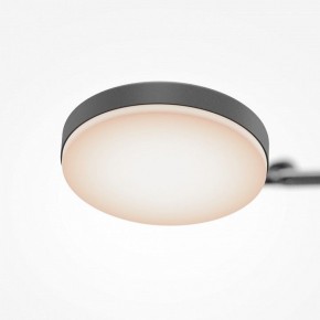 Светильник на штанге Maytoni Fad MOD070CL-L15B3K1 в Кургане - kurgan.ok-mebel.com | фото 7