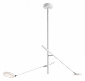 Светильник на штанге Maytoni Fad MOD070CL-L15W3K1 в Кургане - kurgan.ok-mebel.com | фото