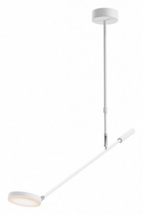 Светильник на штанге Maytoni Fad MOD070CL-L8W3K в Кургане - kurgan.ok-mebel.com | фото