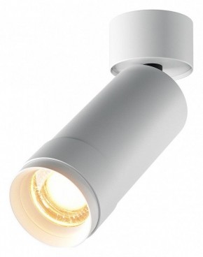 Светильник на штанге Maytoni Focus Zoom C055CL-L12W2.7K-Z-W в Кургане - kurgan.ok-mebel.com | фото