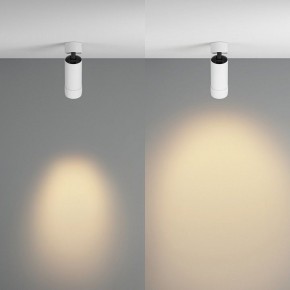 Светильник на штанге Maytoni Focus Zoom C055CL-L12W2.7K-Z-W в Кургане - kurgan.ok-mebel.com | фото 3