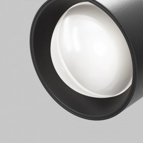 Светильник на штанге Maytoni Lens TR217-2-15W4K-B в Кургане - kurgan.ok-mebel.com | фото 10