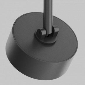 Светильник на штанге Maytoni Lens TR217-2-15W4K-B в Кургане - kurgan.ok-mebel.com | фото 9