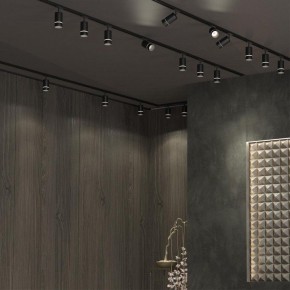 Светильник на штанге Novotech Elina 370777 в Кургане - kurgan.ok-mebel.com | фото 4