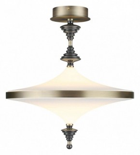 Светильник на штанге Odeon Light Ula 5404/43CL в Кургане - kurgan.ok-mebel.com | фото 2
