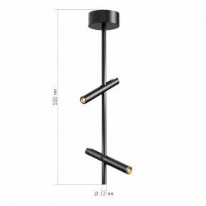 Светильник на штанге ST-Luce LILT SL6210.403.02 в Кургане - kurgan.ok-mebel.com | фото 3
