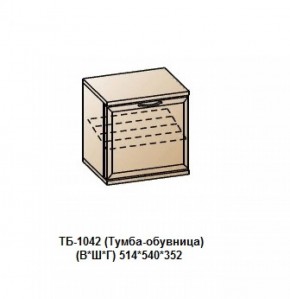 ТБ-1042 (Тумба-обувница) в Кургане - kurgan.ok-mebel.com | фото