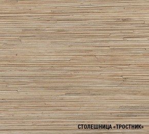 ТОМИЛЛА Кухонный гарнитур Оптима 5 (2700*1600 мм ) в Кургане - kurgan.ok-mebel.com | фото 6