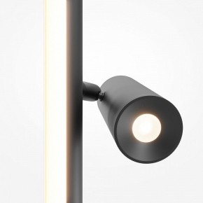 Торшер Maytoni Thin MOD395FL-L28B3K в Кургане - kurgan.ok-mebel.com | фото 6