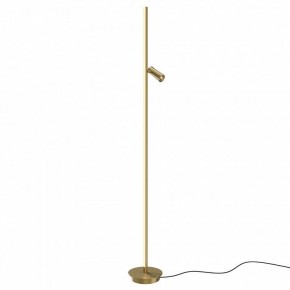 Торшер Maytoni Thin MOD395FL-L28BS3K в Кургане - kurgan.ok-mebel.com | фото