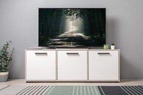 Тумба под ТВ 13.283.02 Винтаж в Кургане - kurgan.ok-mebel.com | фото 3