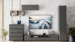 Тумба под ТВ Сибити в Кургане - kurgan.ok-mebel.com | фото 3