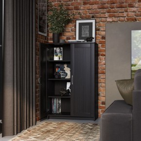 Тумба СИРИУС двухдверная высокая, цвет Дуб Венге в Кургане - kurgan.ok-mebel.com | фото 4