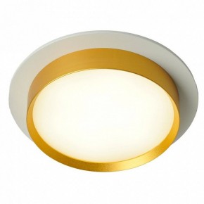 Встраиваемый светильник Feron DL507 51354 в Кургане - kurgan.ok-mebel.com | фото 3