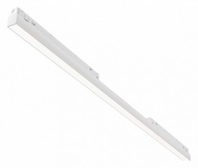 Встраиваемый светильник Maytoni Basis TR030-4-30WTW-DD2-W в Кургане - kurgan.ok-mebel.com | фото