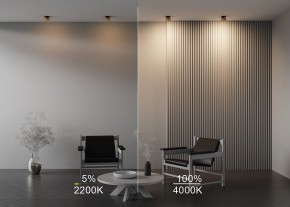 Встраиваемый светильник Maytoni Onda DL024-12W-DTW-BMG в Кургане - kurgan.ok-mebel.com | фото 9