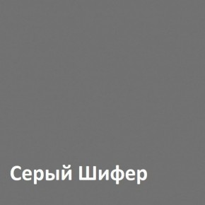 Юнона Шкаф торцевой 13.221 в Кургане - kurgan.ok-mebel.com | фото 2